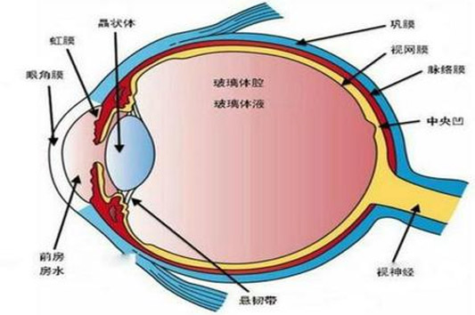 青光眼什么症状表现 氢气分子有机会尽力的表现