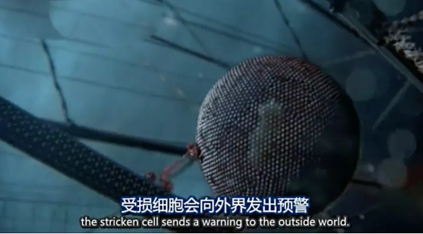 关于病毒，需要了解的三层知识
