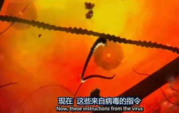 关于病毒，需要了解的三层知识